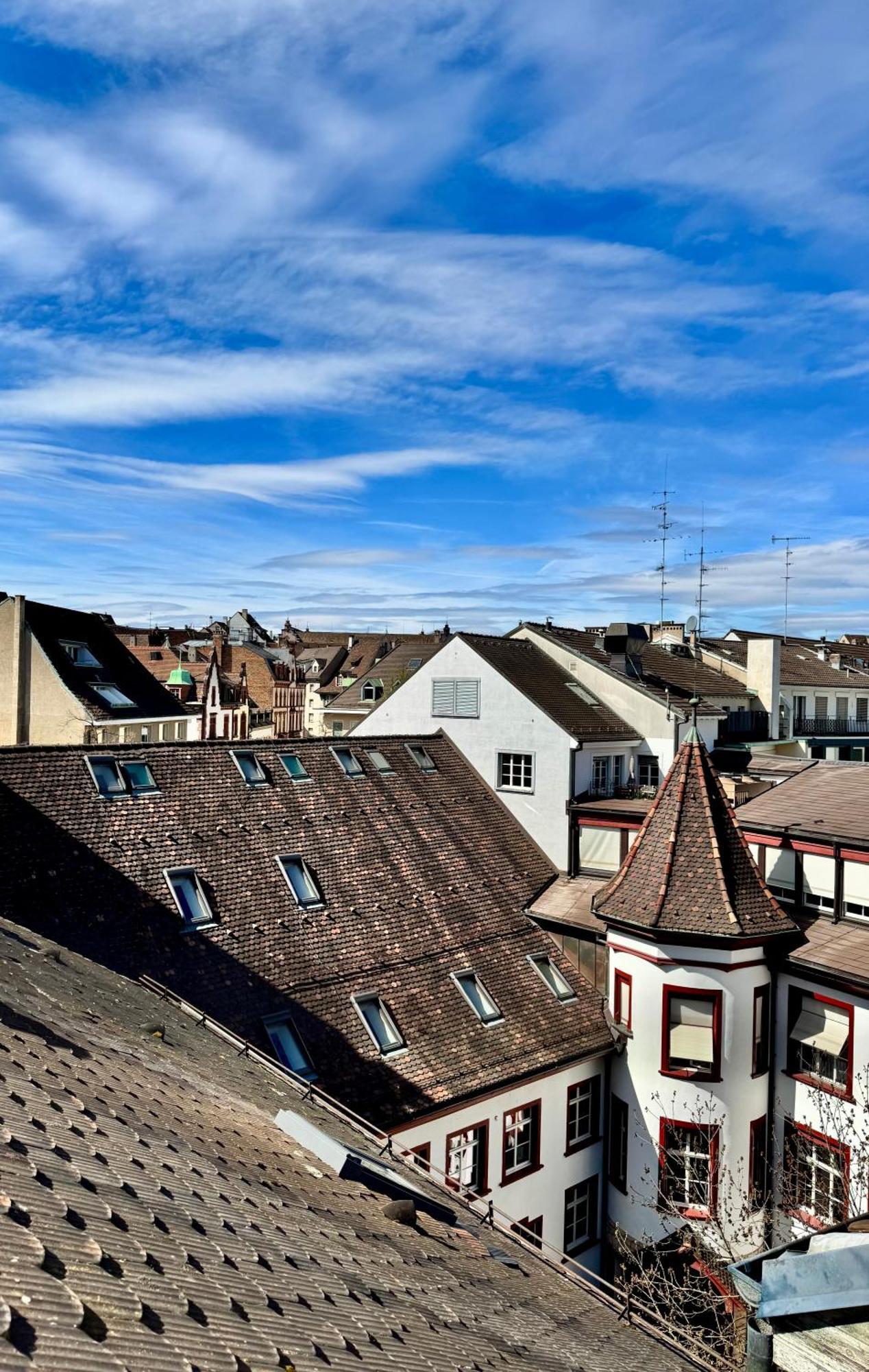 City Center Rooftop Balcony-Studio At Town Hall Basilea Exterior foto